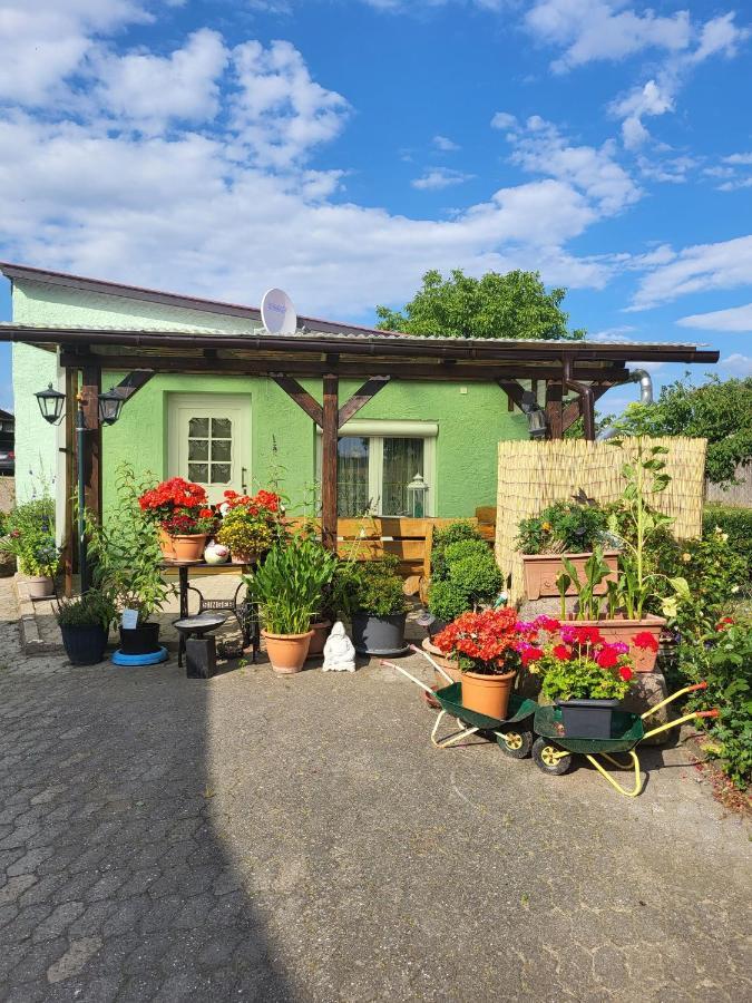 Ferienwohnung Bauerngarten Klein Vielen Luaran gambar